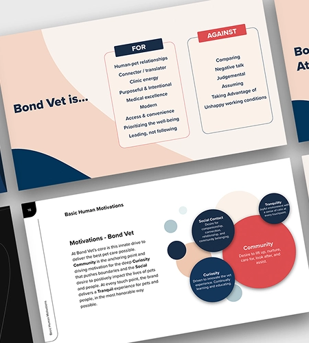 Slides from the BondVet brand deck highlighting the company’s core values, motivations, and visual storytelling elements used to define its market positioning and team culture.